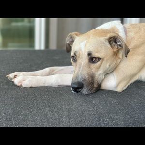 Meet your Posher, Jackie